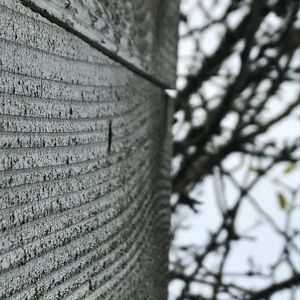 Meet your Posher, Lucy